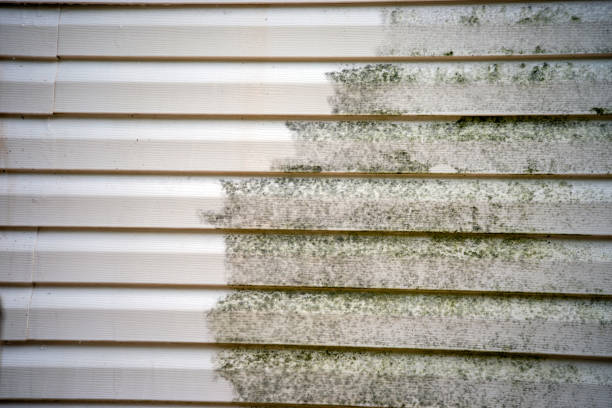 Best Siding for New Construction  in Amelia Court House, VA