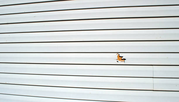 Best Fiber Cement Siding Installation  in Amelia Court House, VA