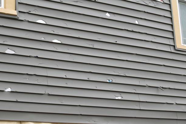 Siding for Commercial Buildings in Amelia Court House, VA