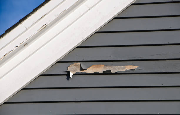 Best Brick Veneer Siding  in Amelia Court House, VA