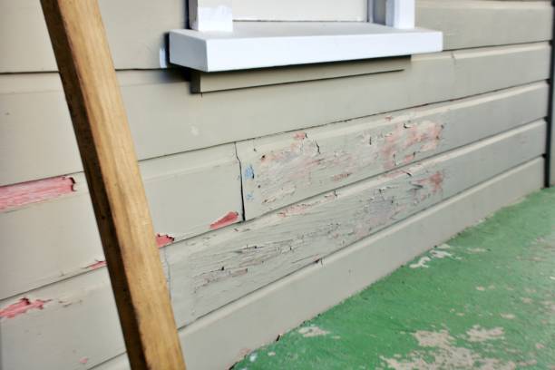Best Historical Building Siding Restoration  in Amelia Court House, VA